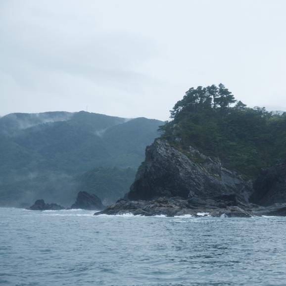 【全国送料無料】食べる宝石!片倉商店謹製 宮城県産シングルシード式牡蠣「女川オイスターファーム金華かき」Mサイズ 24個入り06