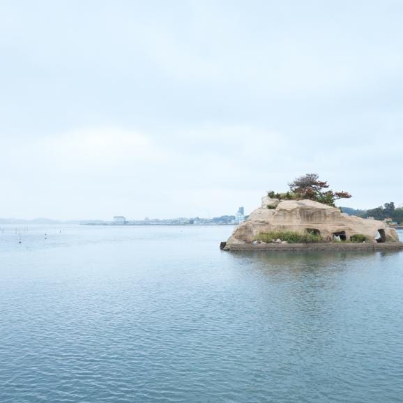 【全国送料無料】“相馬の味、復活”おびすや特製 大人気の青のり佃煮2種【2種4個入り】05