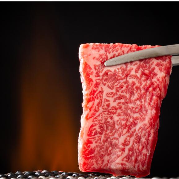 【全国送料無料】宮崎“肉”尽くし!たっぷり1.2kg(宮崎牛赤身400g・豚バラスライス400g・鶏もも肉400g)02