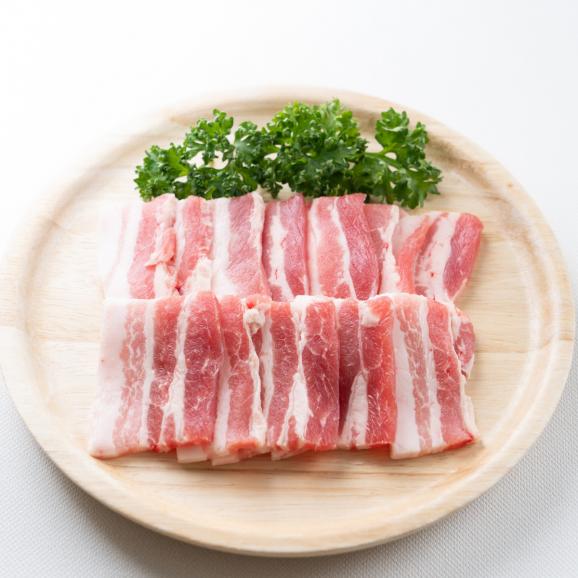 【全国送料無料】宮崎“肉”尽くし!たっぷり1.2kg(宮崎牛赤身400g・豚バラスライス400g・鶏もも肉400g)03