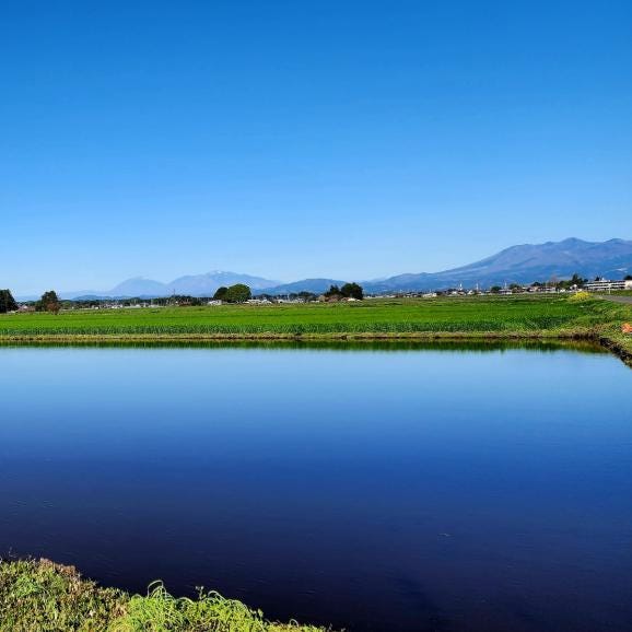【全国均一送料】山下治男 セレクト「一等米 跳ね夢」 栃木県 大田原地区 令和7年収穫 単一生産者&単一区画指定 5㎏（玄米冷蔵保管・注文後精米） 02