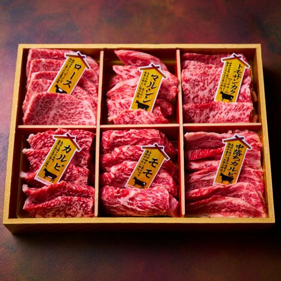 【全国送料無料】たっぷり1.2kg 宮崎県産レアブランド牛「霧峰牛」焼肉用6種お任せ盛り 600g&times;2点02