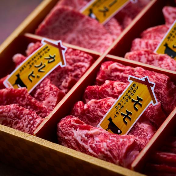 【全国送料無料】たっぷり1.2kg 宮崎県産レアブランド牛「霧峰牛」焼肉用6種お任せ盛り 600g&times;2点05