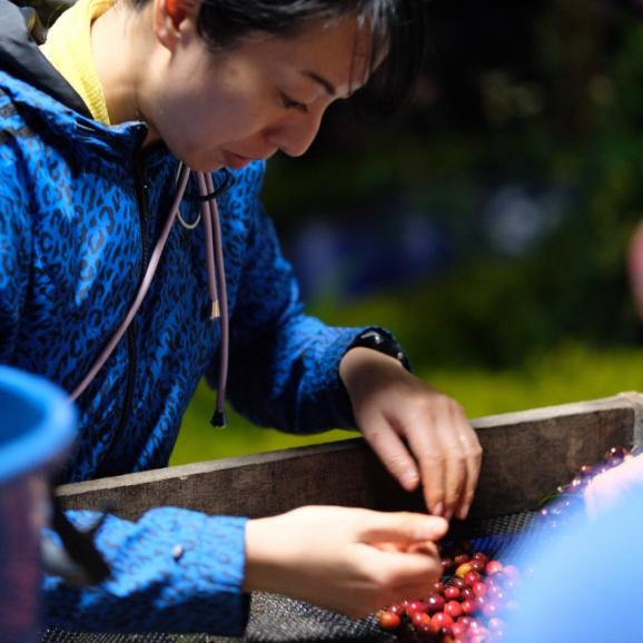 【注文後焙煎】東京上野「cafeoro」山下氏謹製 コーヒー(豆or粉) 200g(限定_コロンビア産 「El Papayo」100g/定番_cafeoroブレンド“Oro” 100g)03