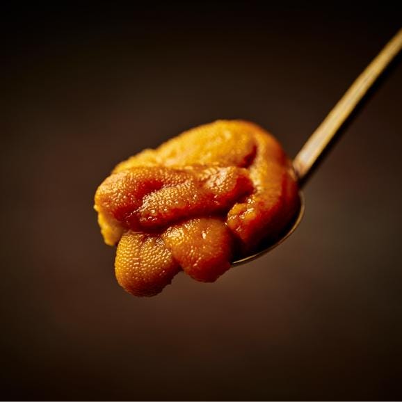 【全国送料無料】限りなく生の美味しさ!片倉商店謹製 宮城県産「金華うに®雪幻」50g【冷凍配送】02