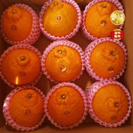 【早期受注割引】たっぷり甘い越冬完熟！征代さんの「特選つの桜不知火」_5㎏_宮崎県都農町産【全国送料無料】