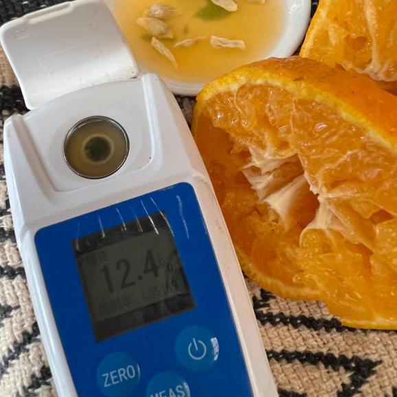 【早期受注割引】たっぷり甘い越冬完熟！征代さんの「特選つの桜不知火」_5㎏_宮崎県都農町産【全国送料無料】04