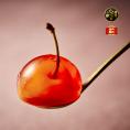 【全国送料無料】“ぷるぷる宝石”山形県産 さんくらんぼの「Petit Jerry Cherry」ギフトBOX仕様（8粒入り２箱）