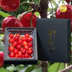 【冷蔵送料全国500円】山形県産 アンスリーファームの&ldquo;紅い宝石&rdquo; さくらんぼ 佐藤錦 山形セレクション認定！特秀品Lサイズ以上 _300g【6月上旬以降発送】