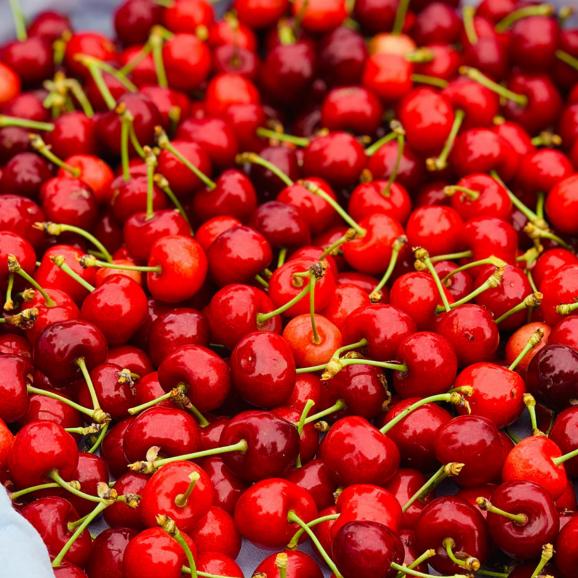 【早期受注割引】山形県産 アンスリーファームの&ldquo;紅い宝石&rdquo; さくらんぼ 佐藤錦 秀品Lサイズ以上 _600g(300g&times;2点）【6月上旬以降発送】03
