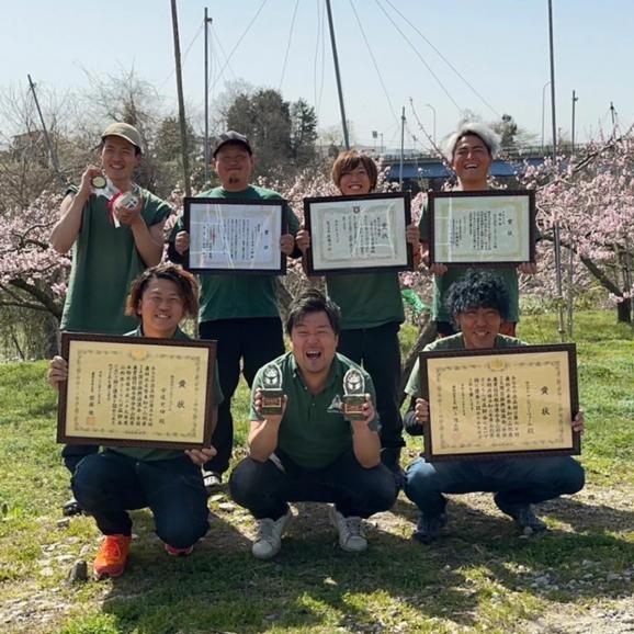 【早期受注割引】山形県産 アンスリーファームの&ldquo;紅い宝石&rdquo; さくらんぼ 佐藤錦 秀品Lサイズ以上 _600g(300g&times;2点）【6月上旬以降発送】06