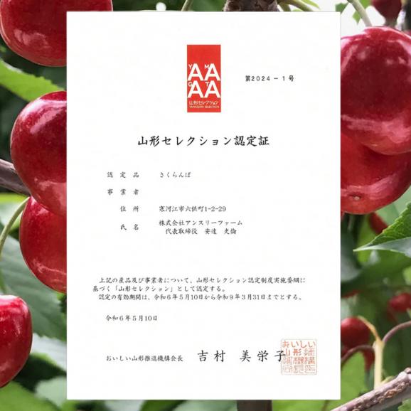 【早期受注割引】山形県産 アンスリーファームの&ldquo;紅い宝石&rdquo; さくらんぼ 佐藤錦 秀品Lサイズ以上 _1.2kg(300g&times;４点）【6月上旬以降発送】04