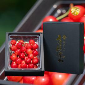産地・生産者指定の絶品さくらんぼ