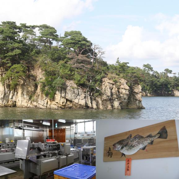 【全国送料無料】遠藤水産 ましお造りの助宗たら 12切(3切×4袋)【しっとり肉厚・骨取済み】04