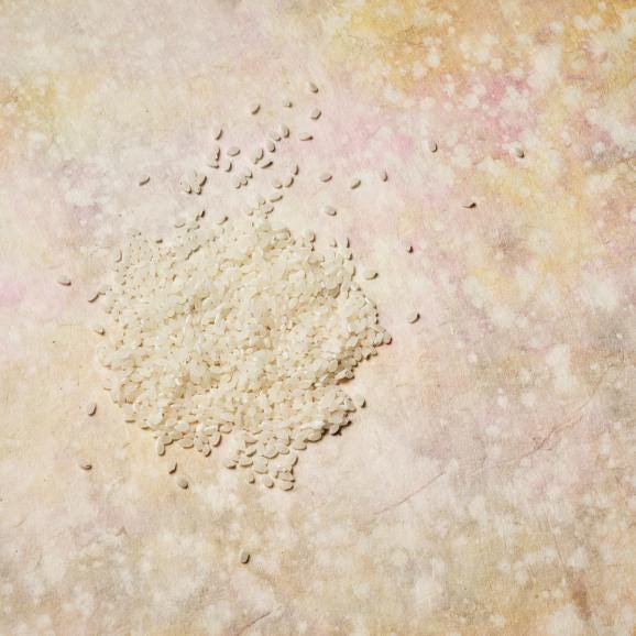 【全国均一送料】山下治男 セレクト「一等米 跳ね夢」 栃木県 大田原地区 令和7年収穫 単一生産者&単一区画指定 3㎏（玄米冷蔵保管・注文後精米） 06