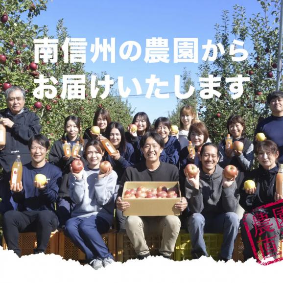【早期受注割引・全国送料無料・限定50点】 “甘みがぎっしり”丘の上ファームの朝採れ「美郷」長野県豊丘村産_2.5kg(6~10玉)【7月中旬~下旬発送・ギフト可】02