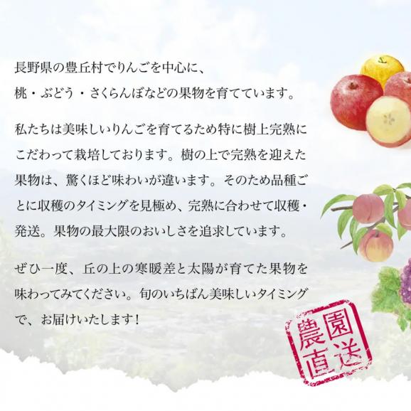 【早期受注割引・全国送料無料・限定50点】 “甘みがぎっしり”丘の上ファームの朝採れ「美郷」長野県豊丘村産_2.5kg(6~10玉)【7月中旬~下旬発送・ギフト可】03