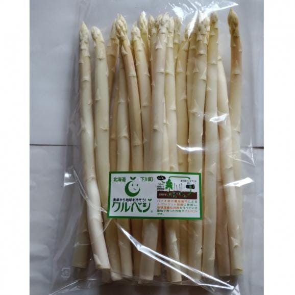 【全国均一送料】旬の採れたて！北海道下川産ホワイトアスパラ　2Ｌサイズ 500ｇ02