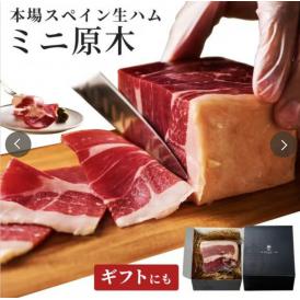 【人気の生ハムブロック】 ミニ原木 スペイン産 ブロック ハム 250～300g 送料無料 冷蔵