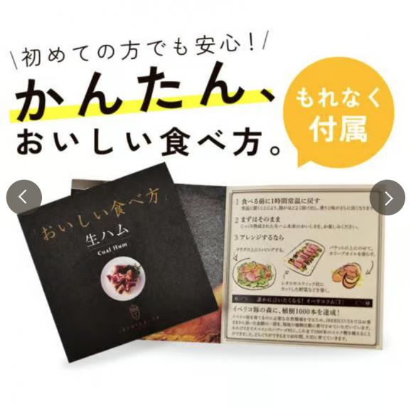 【人気の生ハムブロック】 ミニ原木 スペイン産 ブロック ハム 250～300g 送料無料 冷蔵05