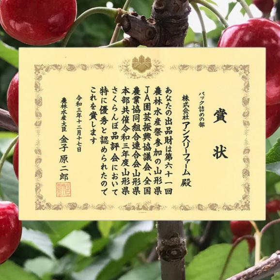【全国送料無料】山形県産 アンスリーファーム “当店別注” さくらんぼ紅秀峰 特秀品Lサイズ 600g(300g×2点)【6月上旬以降発送】05