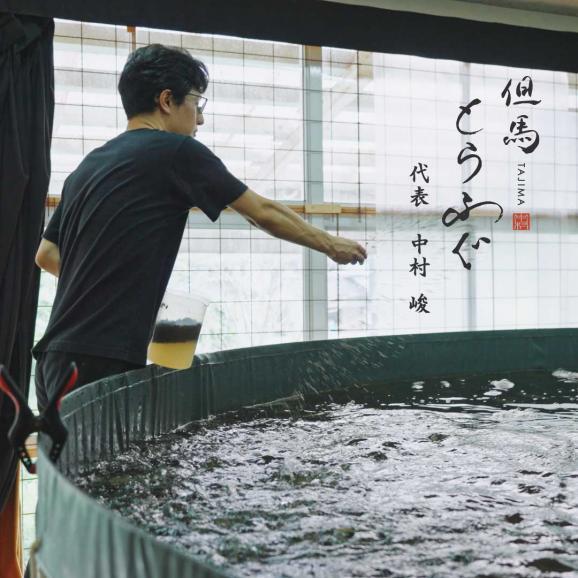 【ノンフローズン】鮮度の極み&ldquo;水揚げ後1分で活〆&rdquo;「但馬とらふぐ」 てっさ4人前100g　てっぴ60g　特製ポン酢付【チルド配送全国均一送料・ポイント2倍】04