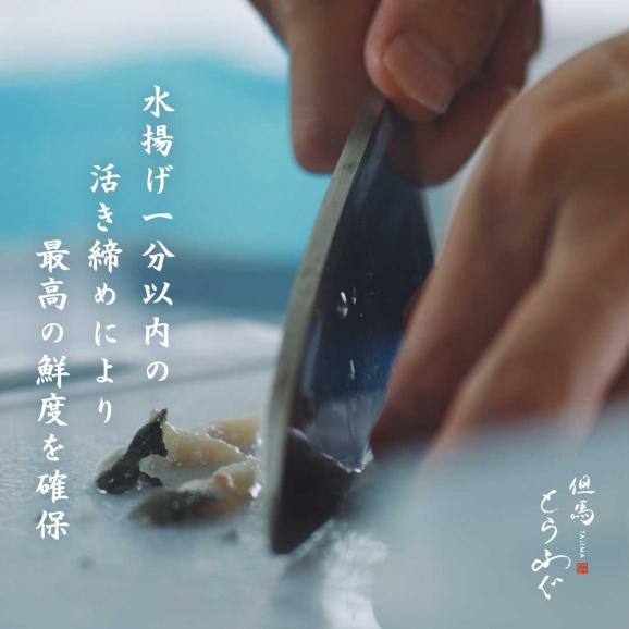 【ノンフローズン】鮮度の極み&ldquo;水揚げ後1分で活〆&rdquo;「但馬とらふぐ」 てっさ6人前150g　てっぴ90g　特製ポン酢付【チルド配送全国均一送料・ポイント2倍】03
