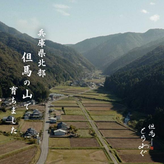 【ノンフローズン】鮮度の極み&ldquo;水揚げ後1分で活〆&rdquo;「但馬とらふぐ」 てっさ6人前150g　てっぴ90g　特製ポン酢付【チルド配送全国均一送料・ポイント2倍】06
