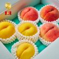 【全国送料無料】桃王国の&ldquo;最強コンピ&rdquo; 完熟 川中島白桃＆黄金桃 特秀・秀等級詰め合わせ_1.8kg（8玉～5玉）【福島県産・8月中旬発送】