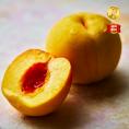 【全国送料無料】桃王国&ldquo;真夏の黄金&rdquo;黄金桃 特秀・秀等級詰め合わせ_1.8kg（8玉～5玉）【福島県産・8月中旬発送】