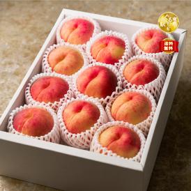 【早期受注割引】果実王国 山形県産 &ldquo;甘み芳醇&rdquo; 完熟 白桃 3kg（8－12玉）【全国送料無料・8月中旬以降出荷】