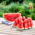 【全国送料無料】都農町産 完熟スイカ&ldquo;甘さをぜんぶ&rdquo;「ひとりじめbonbon」2玉（合計3㎏以上）