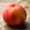 【全国送料無料】果実王国 山形県産 &ldquo;甘み芳醇&rdquo; 完熟 秀等級以上 白桃 3kg（8－12玉）【8月下旬以降選べる出荷時期】