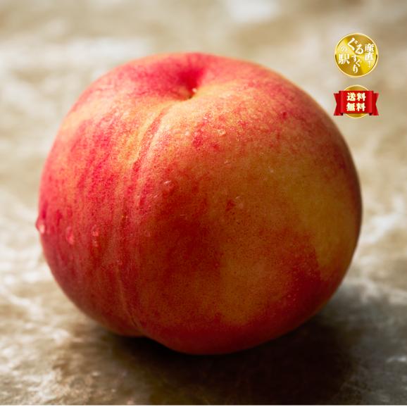【全国送料無料】果実王国 山形県産 &ldquo;甘み芳醇&rdquo; 完熟 秀等級以上 白桃 3kg（8－12玉）【8月下旬以降選べる出荷時期】01