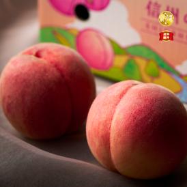 【全国送料無料】最高等級「輝々桃」長野県産 “あまい夏終わり” 完熟しらね白桃/さくら白桃 糖度13度以上 3kg（11~8玉））9月上旬発送【9月6日まで限定販売】
