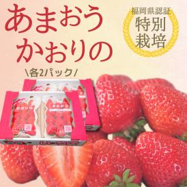 あまおう.かおりの食べ比べ各2パック