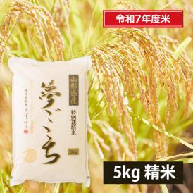 黒澤ファームのお米「夢ごこち」精米約5kg