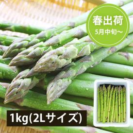 2026年3月頃～予約開始予定|極太銀山アスパラガス1kg(2Lサイズ)＜春出荷＞