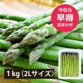 予約受付中：5月中旬頃より発送予定|【早得おまけ付き】極太銀山アスパラガス1kg(2Lサイズ)