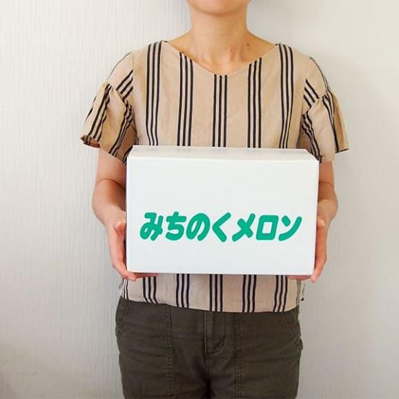 予約受付中：7月下旬頃より発送予定|極上タカミメロン大玉2玉(青肉2玉)06