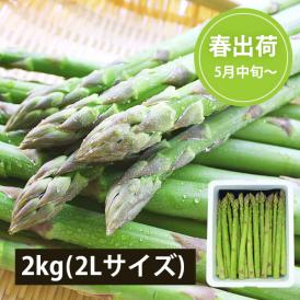 2026年3月頃～予約開始予定|極太銀山アスパラガス2kg(2Lサイズ)＜春出荷＞