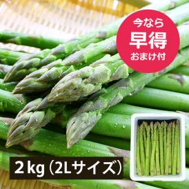 予約受付中：5月中旬頃より発送予定|【早得おまけ付き】極太銀山アスパラガス2kg(2Lサイズ)