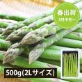予約受付中：5月中旬頃より発送予定|極太銀山アスパラガス500g(2Lサイズ)＜春出荷＞