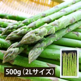 予約受付中：5月中旬頃より発送予定|極太銀山アスパラガス500g(2Lサイズ)