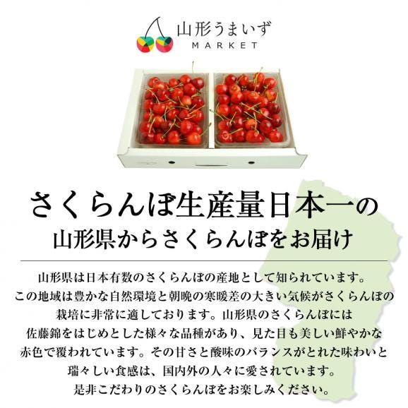 予約受付中:6月下旬頃より発送予定|プレミアムさくらんぼ紅秀峰600gバラ詰Lサイズ以上(300g×2)02