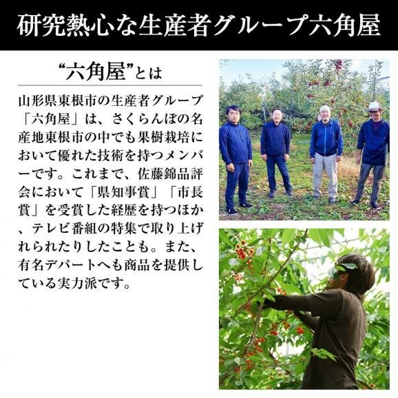 予約受付中：6月下旬頃より発送予定|プレミアムさくらんぼ紅秀峰300gバラ詰Lサイズ以上04