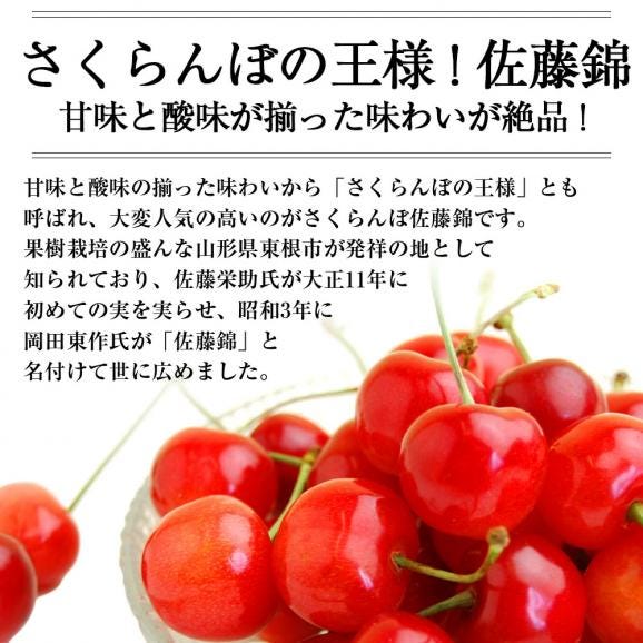 予約受付中：6月中旬頃より発送予定|プレミアムさくらんぼ佐藤錦600gバラ詰Lサイズ以上(300g&times;2)03