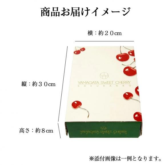 予約受付中：6月中旬頃より発送予定|プレミアムさくらんぼ佐藤錦600gバラ詰Lサイズ以上(300g&times;2)06