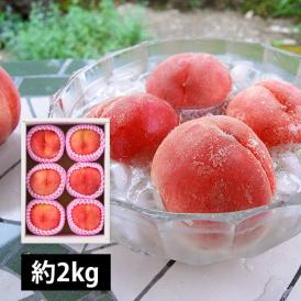 予約受付中：8月中旬頃より発送予定|プレミアム白桃 旬の品種 約2kg(6～9玉)
