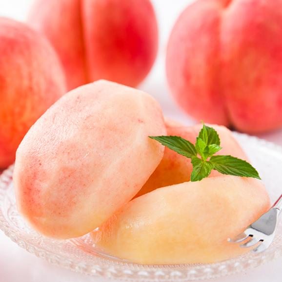 予約受付中：8月中旬頃より発送予定|プレミアム白桃 旬の品種 約2kg(6～9玉)02